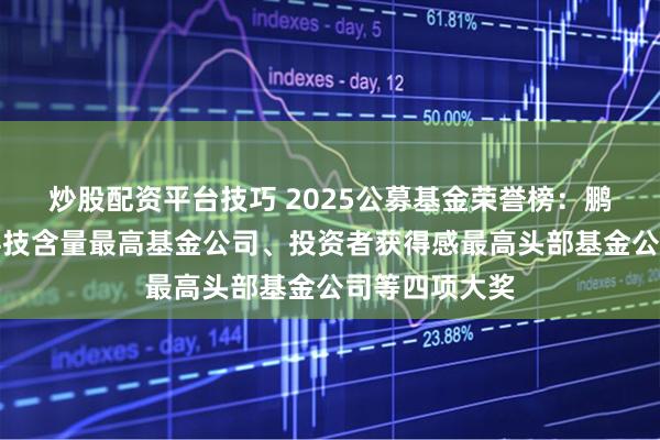 炒股配资平台技巧 2025公募基金荣誉榜：鹏华基金荣获科技含量最高基金公司、投资者获得感最高头部基金公司等四项大奖