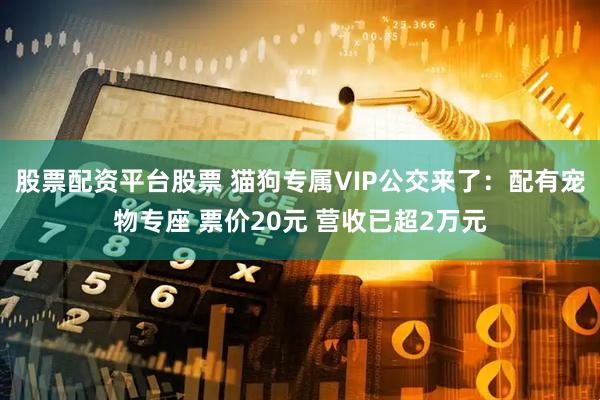 股票配资平台股票 猫狗专属VIP公交来了：配有宠物专座 票价20元 营收已超2万元