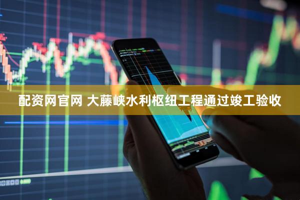 配资网官网 大藤峡水利枢纽工程通过竣工验收